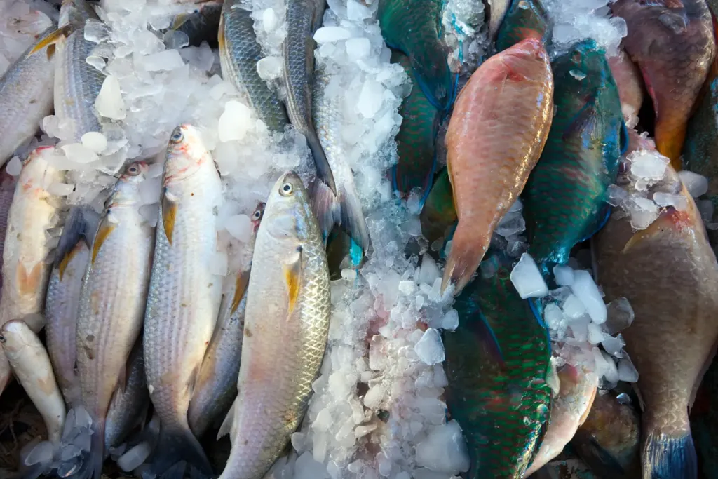 Mariscos y pescados en Mar del Plata
