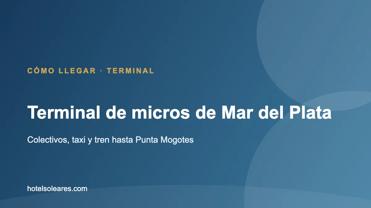 Placa: terminal de micros de Mar del Plata y cómo llegar a Punta Mogotes